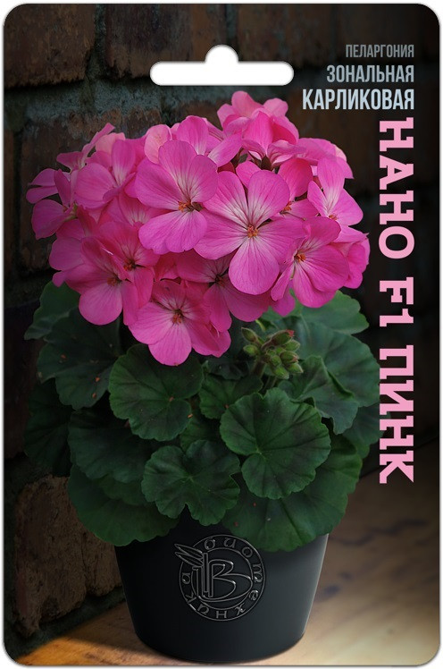 Пеларгония зональная карликовая «Нано F1 Пинк» | Биотехника