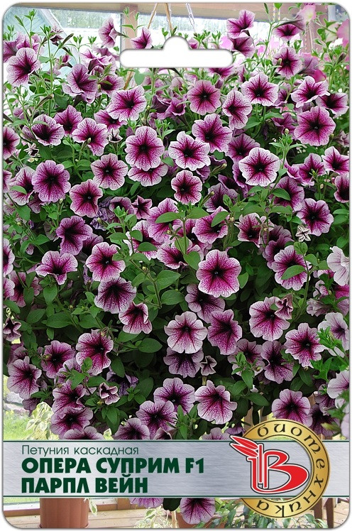 Петуния каскадная «Опера Суприм F1 Парпл Вейн» | Биотехника