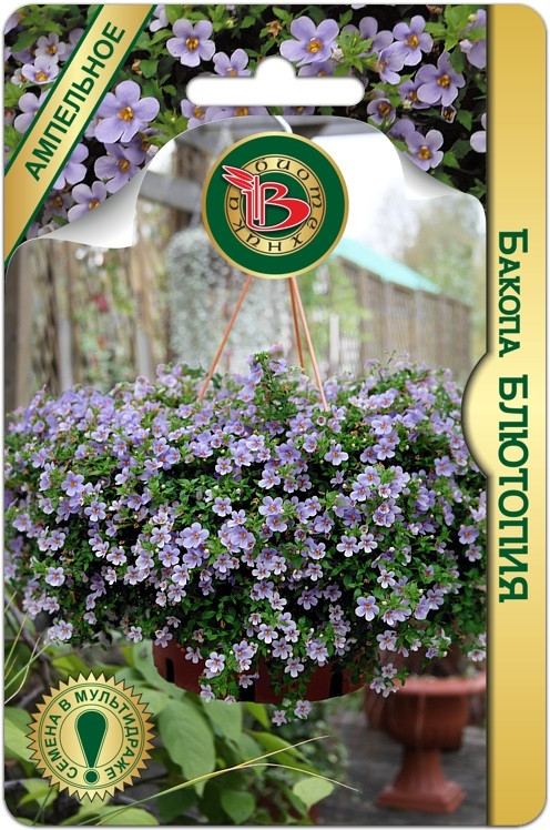 Бакопа «Блютопия» | Биотехника