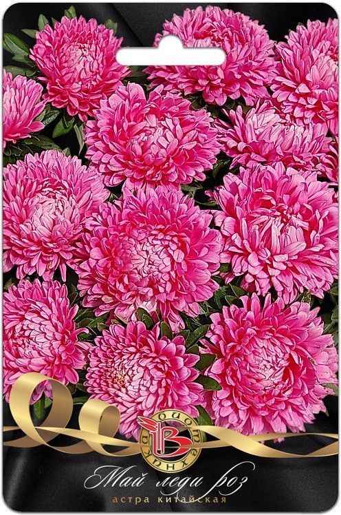 Астра китайская «Май Леди Роз» | Май Леди | Биотехника