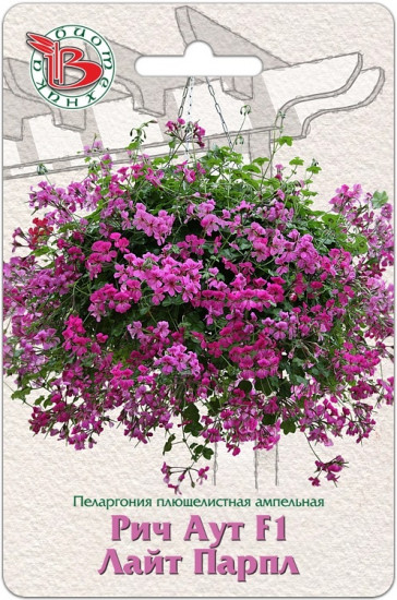 Пеларгония плющелистная