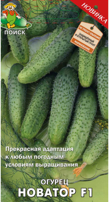 Огурец «Новатор F1» | Поиск