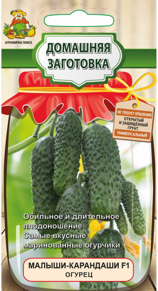 Огурец «Малыши-карандаши F1» | Домашняя заготовка | Поиск