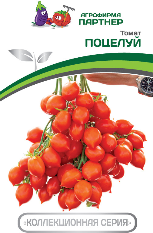 Томат «Поцелуй» | Партнер