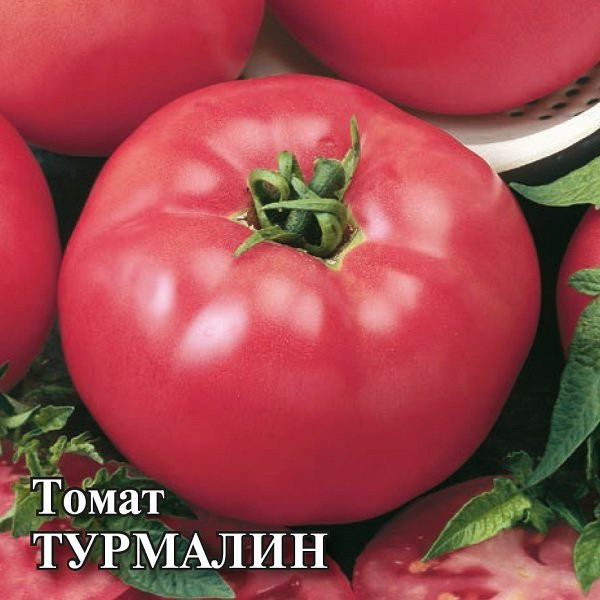 Томат «Турмалин» | Фермерское подворье | Гавриш