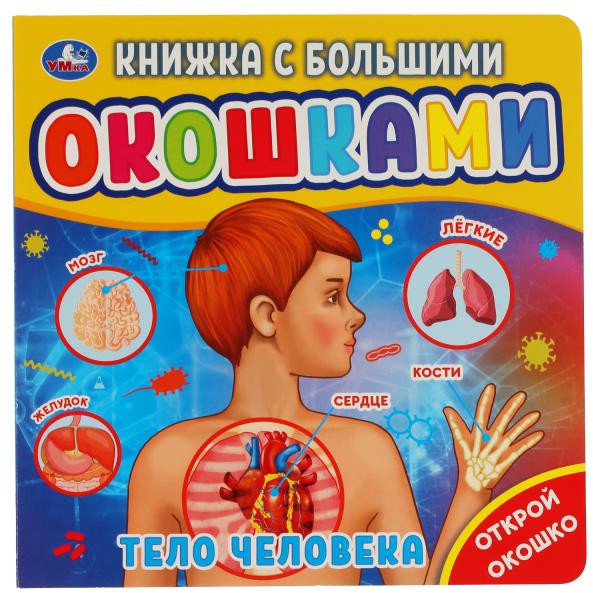 Книга с большими окошками «Тело человека» | Книжка с окошками | УМка
