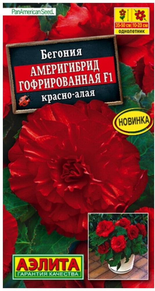 Бегония «Америгибрид гофрированная» | Однолетние цветы (Аэлита) | Аэлита