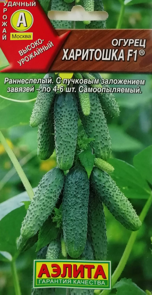Огурец «Харитошка F1» | Удачный урожай | Аэлита