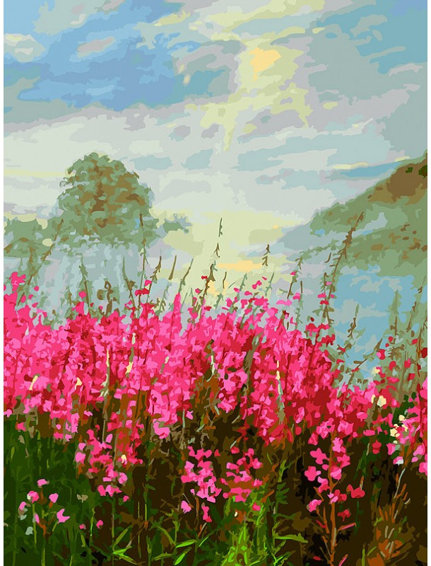 Картина по номерам «Иван-чай» | Белоснежка