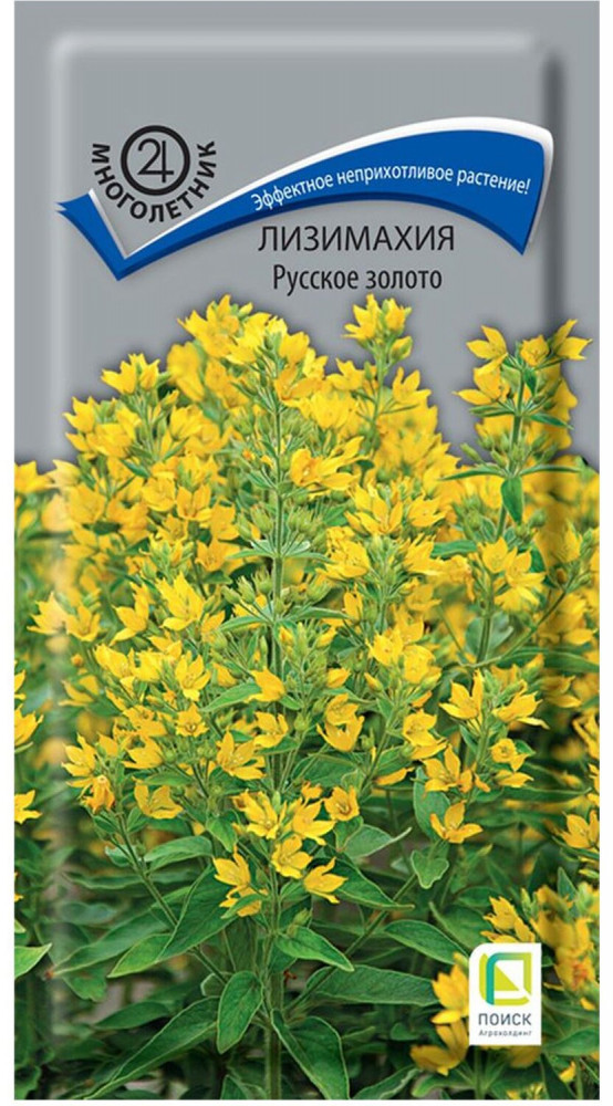 Лизимахия «Русское золото» | Поиск