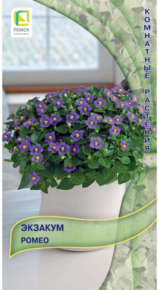 Экзакум «Ромео» | Поиск