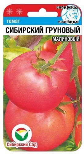 Томат «Сибирский грунтовый малиновый» | Сибирский Сад