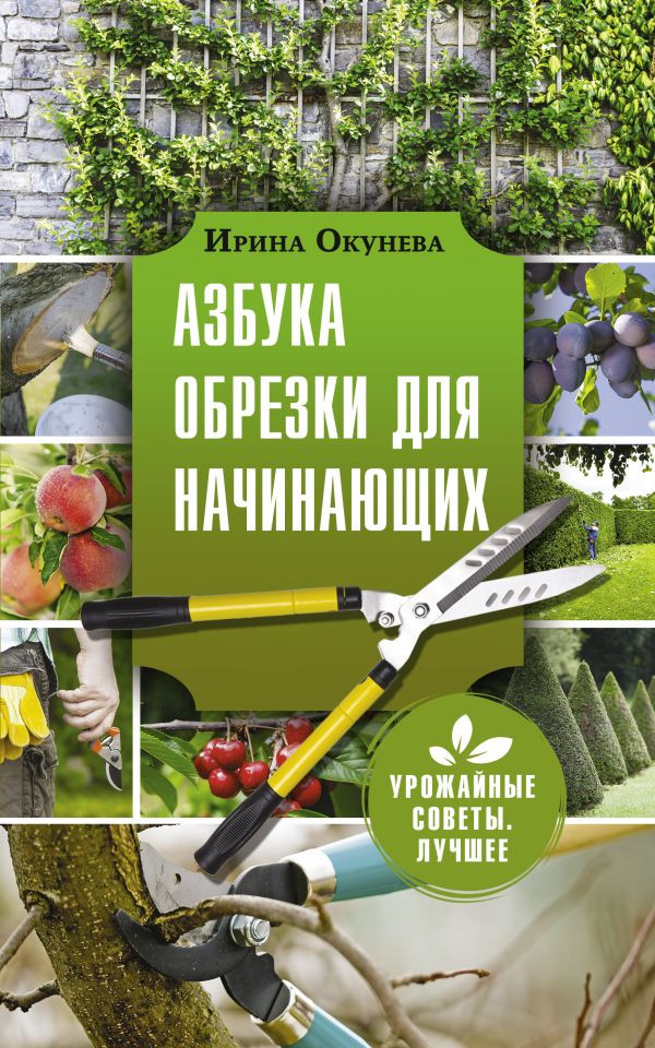 Азбука обрезки для начинающих | Урожайные советы. Лучшее