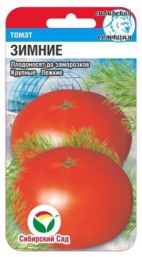 Томат «Зимние» | Сибирский Сад