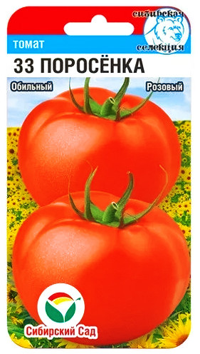 Томат «33 поросенка» | Сибирский Сад