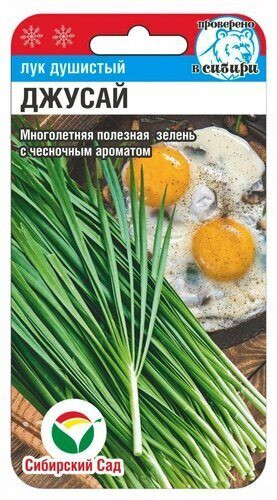 Лук «Душистый Джусай»