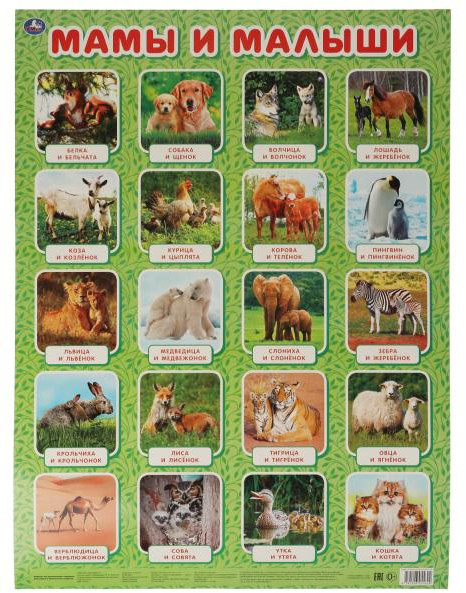 Мамы и малыши. Плакат | УМка