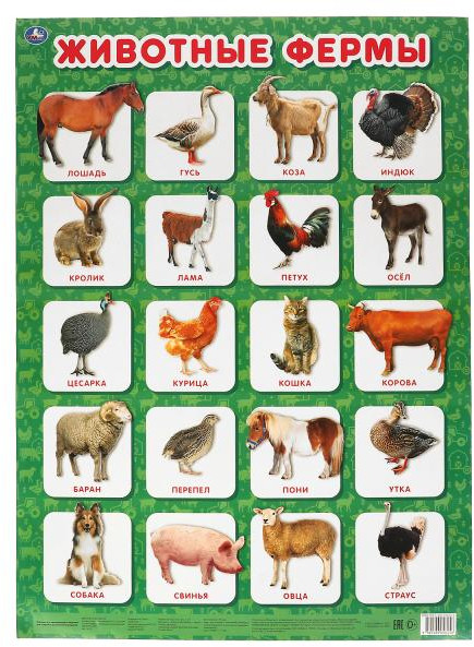 Животные фермы. Плакат | УМка