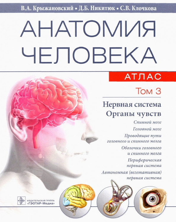 Анатомия человека. Атлас в 3-х томах. Том 3. Нервная система. Органы чувств