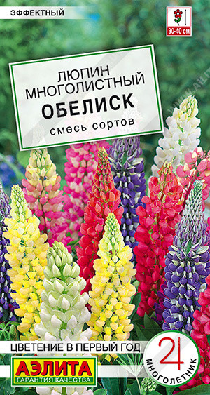 Люпин «Обелиск» | Аэлита