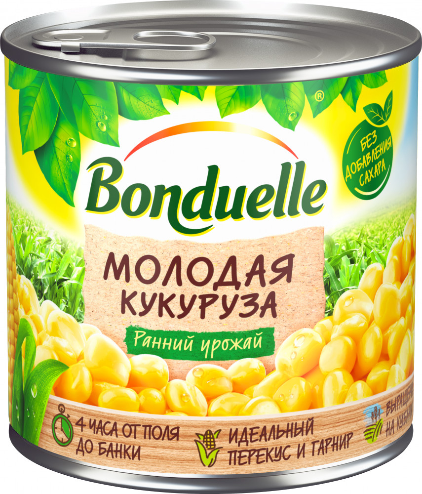 Кукуруза «Молодая» | Bonduelle