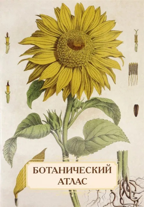 Ботанический атлас. Н. П. Животовский | Памятники культуры
