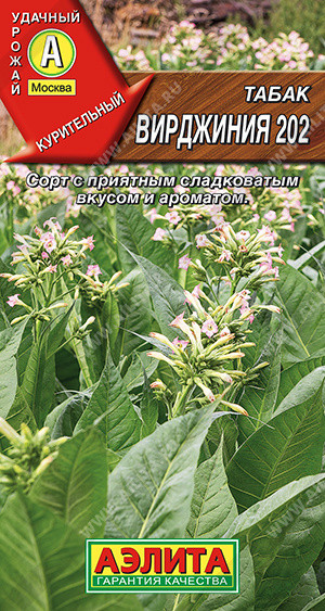 Табак «Вирджиния 202» | Аэлита