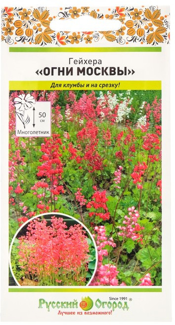 Гейхера «Огни Москвы» | Многолетние цветы (Гавриш) | Русский Огород