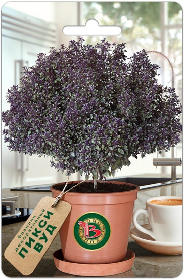 Семена. Базилик «Пикси Вуд»