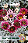 Газания «Арктик Берри»