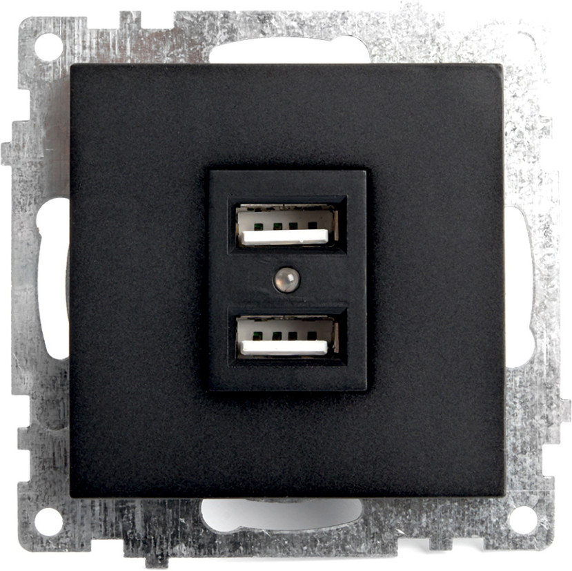 Розетка USB двухместная | Катрин | Stekker