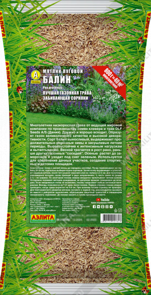 Мятлик луговой «Балин» | Аэлита