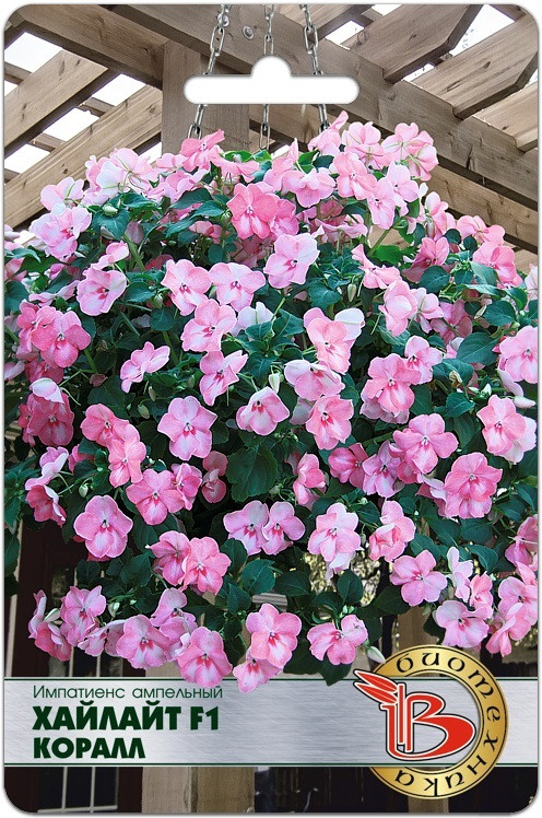 Импатиенс ампельный «Хайлайт F1 Коралл» | Биотехника