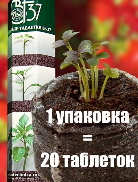 Набор торфяных таблеток Bt-37 | Биотехника