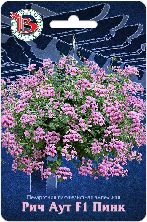 Пеларгония плющелистная «Рич Аут F1 Пинк» | Биотехника