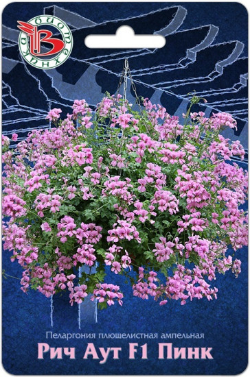 Пеларгония плющелистная «Рич Аут F1 Пинк»