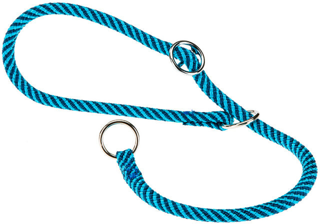 Ошейник-удавка для собак «Sport extreme» | Ferplast