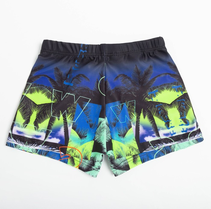 Трусы купальные для мальчиков «Пляж» | Swim Collection Kids | MINAKU