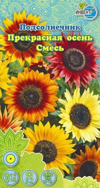 Подсолнечник «Прекрасная осень» | Инвент+