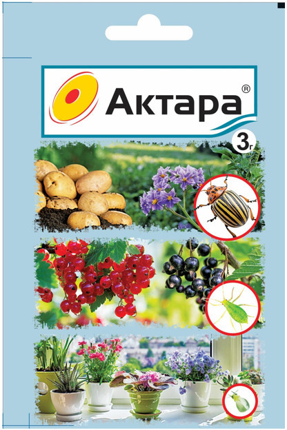 Средство от колорадского жука «Актара» | Ваше хозяйство