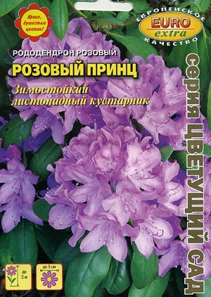 Рододендрон «Розовый принц» | Аэлита