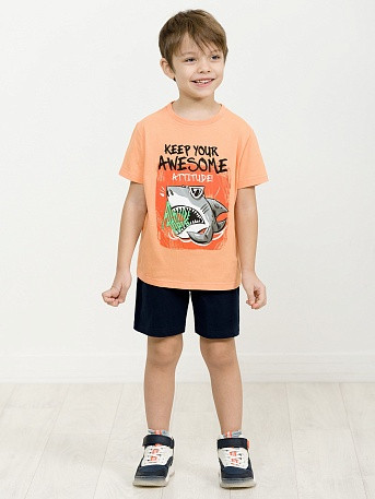 Комплект для мальчиков | Стиль жизни добрый | Pelican