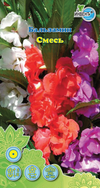Бальзамин махровый «Смесь» | Инвент+