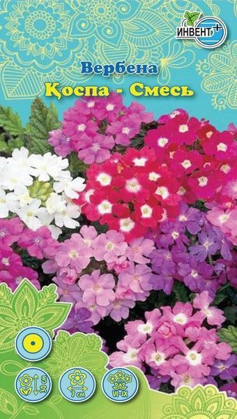 Вербена «Смесь» | Инвент+