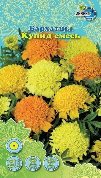 Бархатцы «Купид смесь» | Инвент+