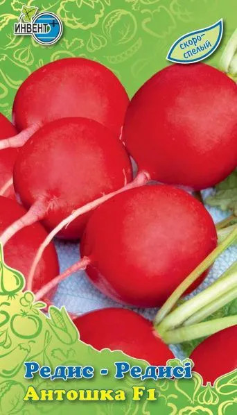 Редис «Антошка F1» | Инвент+