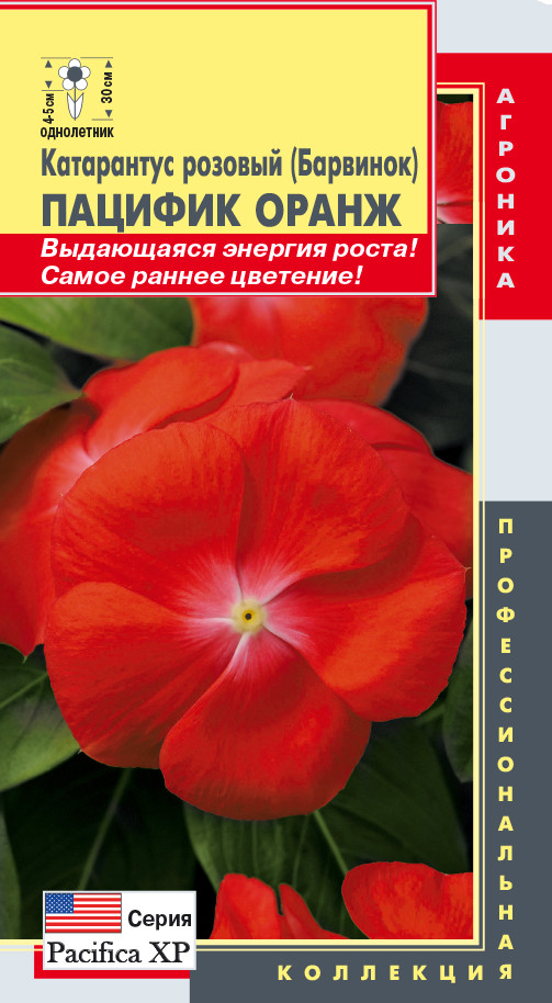 Катарантус розовый «Пацифик Оранж» | Pacifica XP | Агроника
