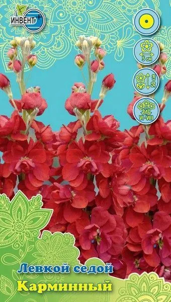 Левкой седой «Карминный» | Инвент+