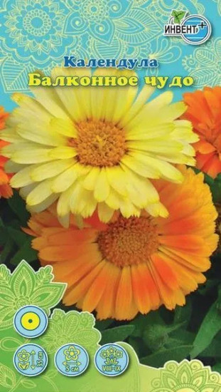 Календула «Балконное чудо»