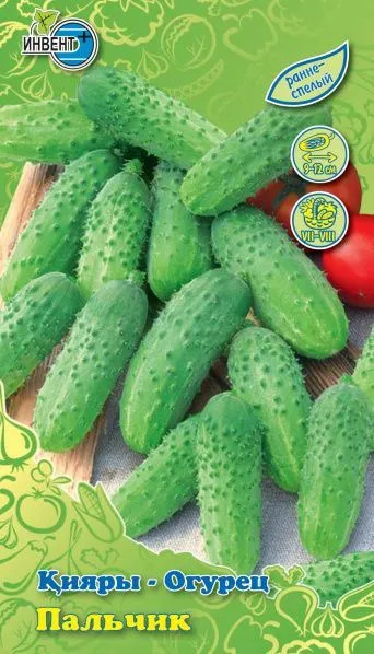 Огурец «Пальчик» | Инвент+
